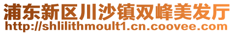 浦東新區(qū)川沙鎮(zhèn)雙峰美發(fā)廳