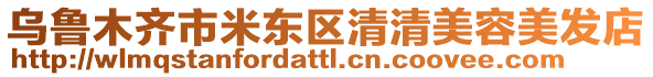 烏魯木齊市米東區(qū)清清美容美發(fā)店