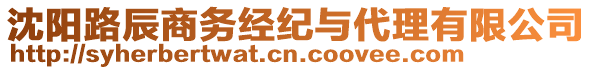 沈陽路辰商務經紀與代理有限公司