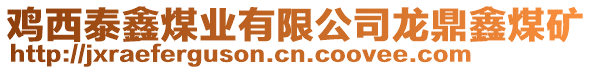 雞西泰鑫煤業有限公司龍鼎鑫煤礦