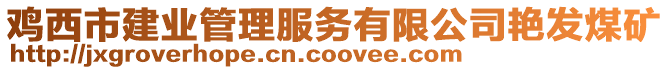 雞西市建業管理服務有限公司艷發煤礦