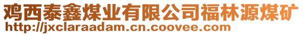 雞西泰鑫煤業(yè)有限公司福林源煤礦