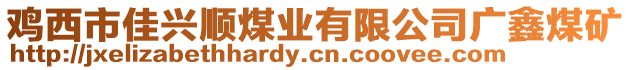 雞西市佳興順煤業(yè)有限公司廣鑫煤礦