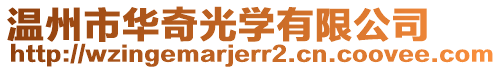 溫州市華奇光學有限公司