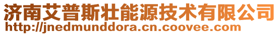 濟(jì)南艾普斯壯能源技術(shù)有限公司