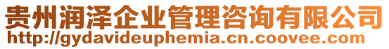 貴州潤澤企業管理咨詢有限公司