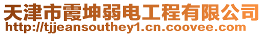 天津市霞坤弱電工程有限公司
