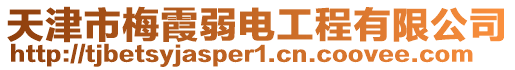天津市梅霞弱電工程有限公司