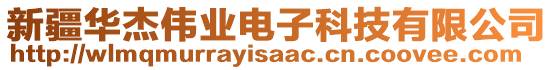 新疆華杰偉業(yè)電子科技有限公司