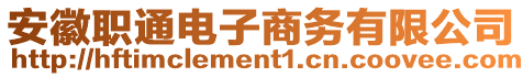 安徽職通電子商務有限公司