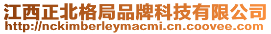 江西正北格局品牌科技有限公司