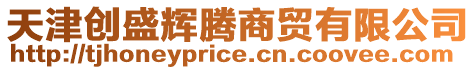 天津創盛輝騰商貿有限公司