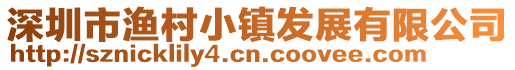 深圳市漁村小鎮發展有限公司