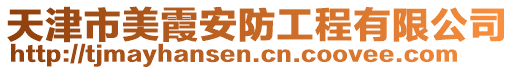 天津市美霞安防工程有限公司