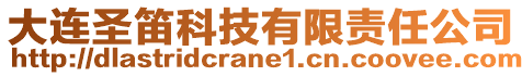 大連圣笛科技有限責任公司