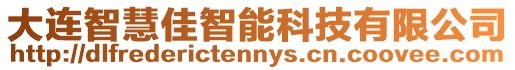 大連智慧佳智能科技有限公司