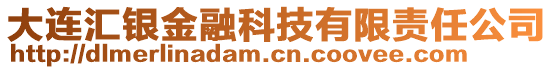 大連匯銀金融科技有限責任公司