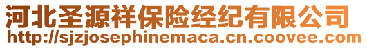 河北圣源祥保險經紀有限公司