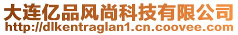 大連億品風尚科技有限公司