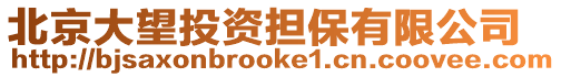 北京大望投資擔保有限公司