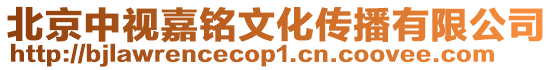 北京中視嘉銘文化傳播有限公司