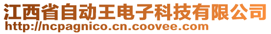 江西省自動王電子科技有限公司