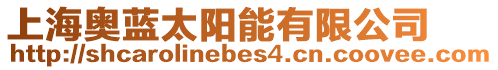 上海奧藍太陽能有限公司