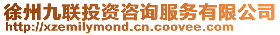 徐州九聯(lián)投資咨詢服務(wù)有限公司