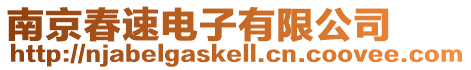南京春速電子有限公司