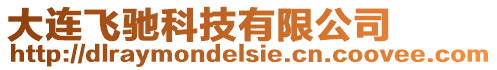 大連飛馳科技有限公司