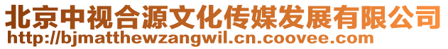 北京中視合源文化傳媒發展有限公司