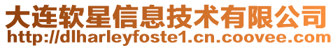 大連軟星信息技術有限公司
