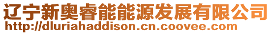 遼寧新奧睿能能源發展有限公司