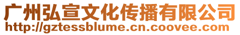 廣州弘宣文化傳播有限公司