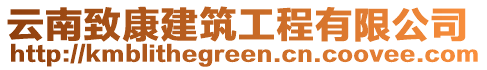 云南致康建筑工程有限公司