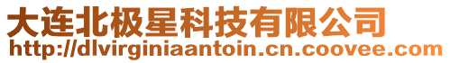 大連北極星科技有限公司
