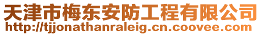 天津市梅東安防工程有限公司