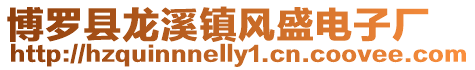 博羅縣龍溪鎮(zhèn)風(fēng)盛電子廠