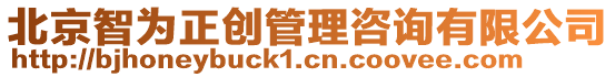 北京智為正創管理咨詢有限公司