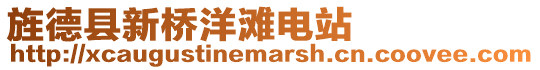 旌德縣新橋洋灘電站