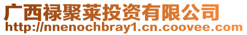廣西祿聚萊投資有限公司
