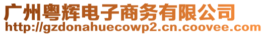 廣州粵輝電子商務有限公司