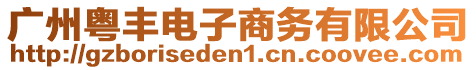 廣州粵豐電子商務有限公司