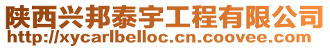 陜西興邦泰宇工程有限公司