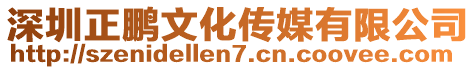 深圳正鵬文化傳媒有限公司