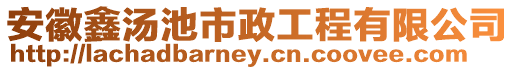 安徽鑫湯池市政工程有限公司