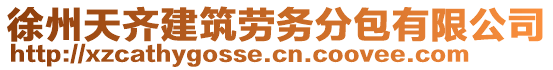 徐州天齊建筑勞務分包有限公司