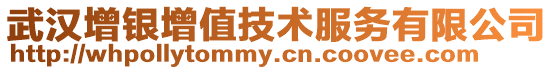 武漢增銀增值技術(shù)服務(wù)有限公司