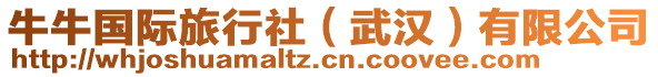 牛牛國(guó)際旅行社（武漢）有限公司