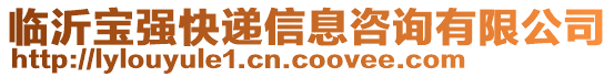 臨沂寶強(qiáng)快遞信息咨詢有限公司